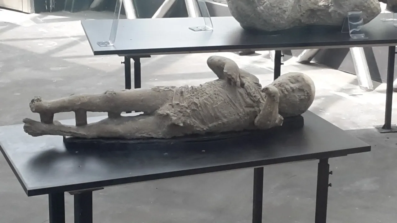 Tour pompeya y vesubio-10