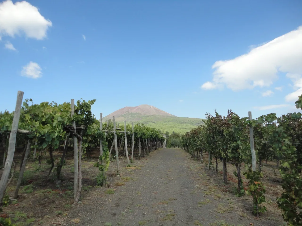 Pompeya y bodega local-14