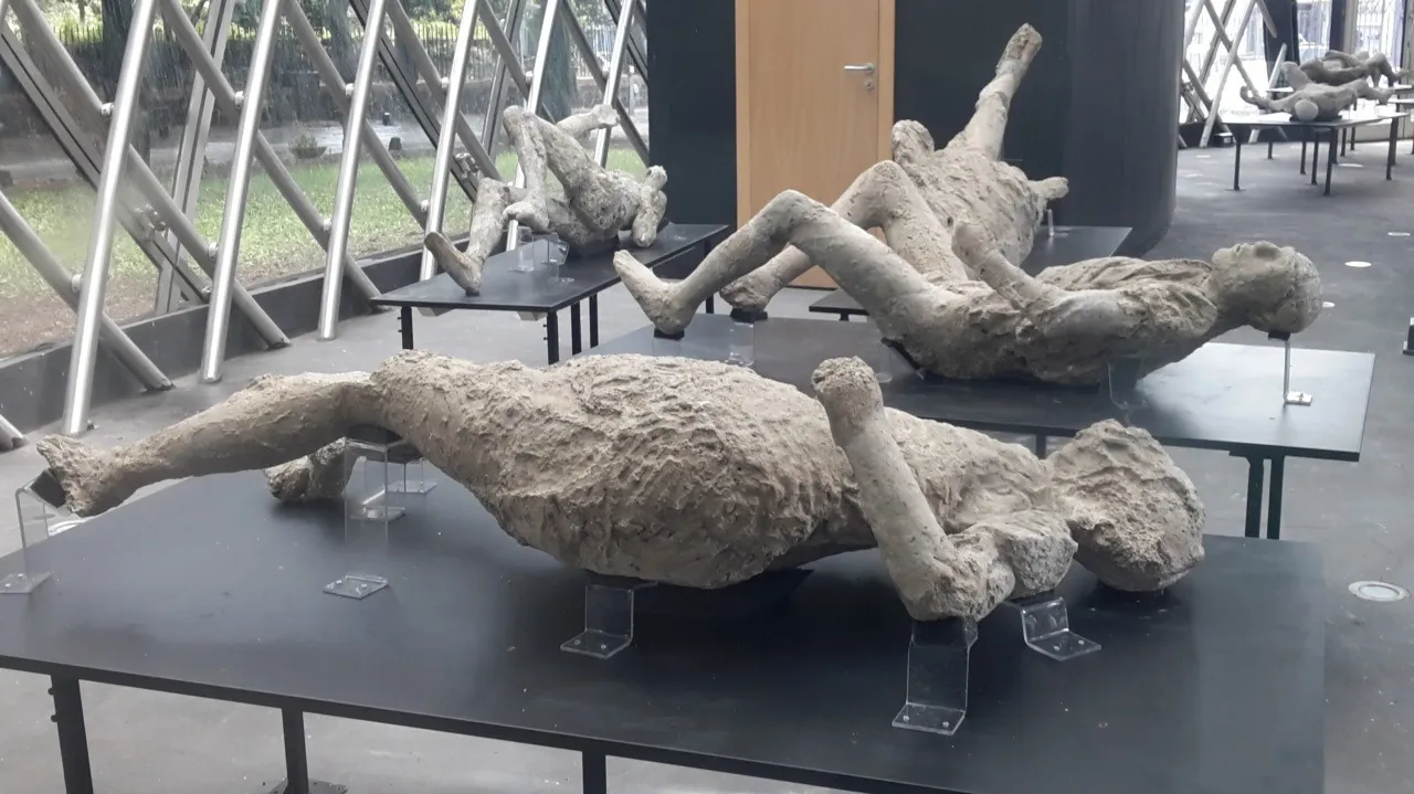 Tour pompeya y vesubio-9