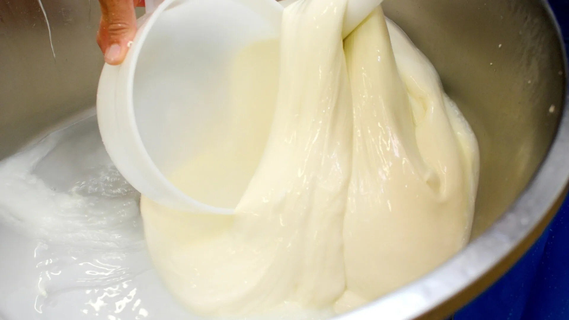 Paestum, Pompeya & Mozzarella de Búfala-15