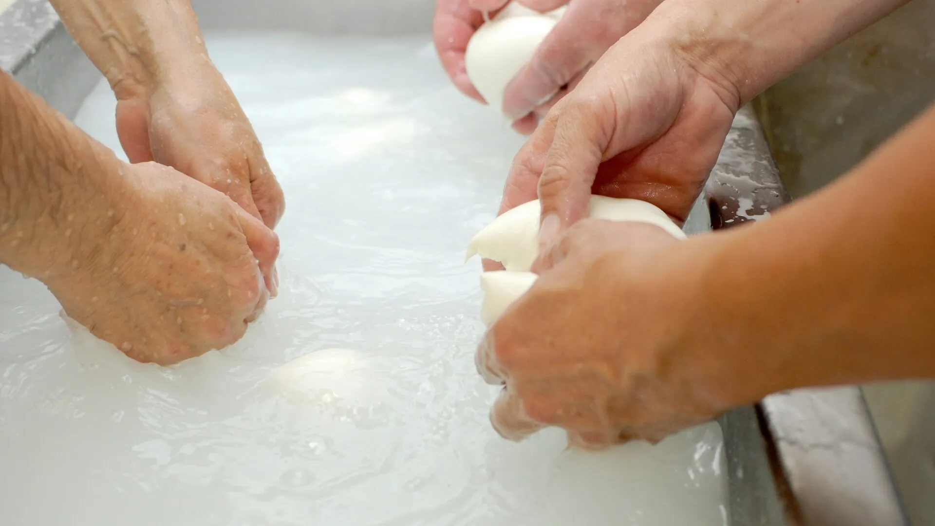 Paestum, Pompeya & Mozzarella de Búfala-13