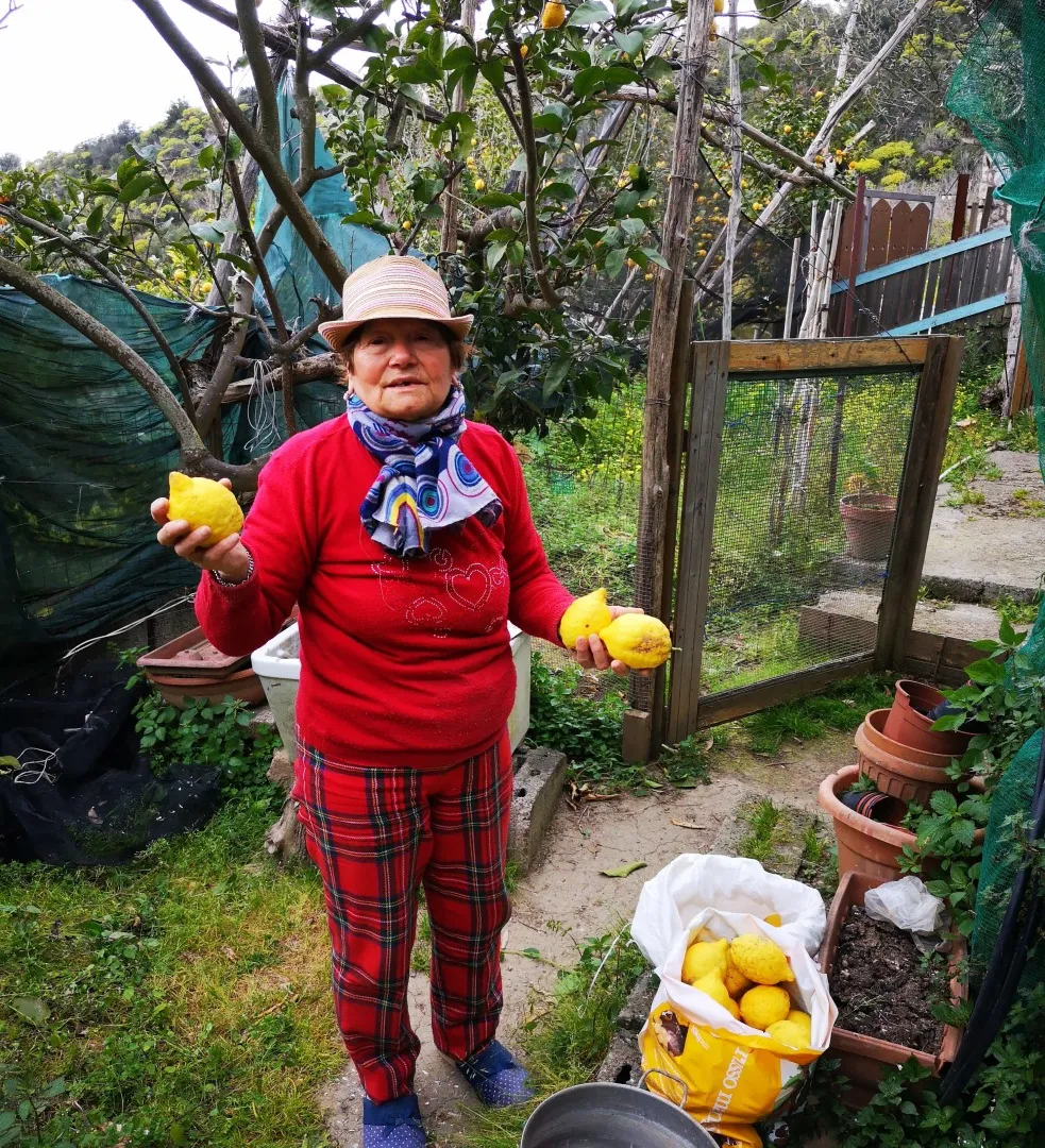 Tour privado al atardecer por Positano & Massa Lubrense-7