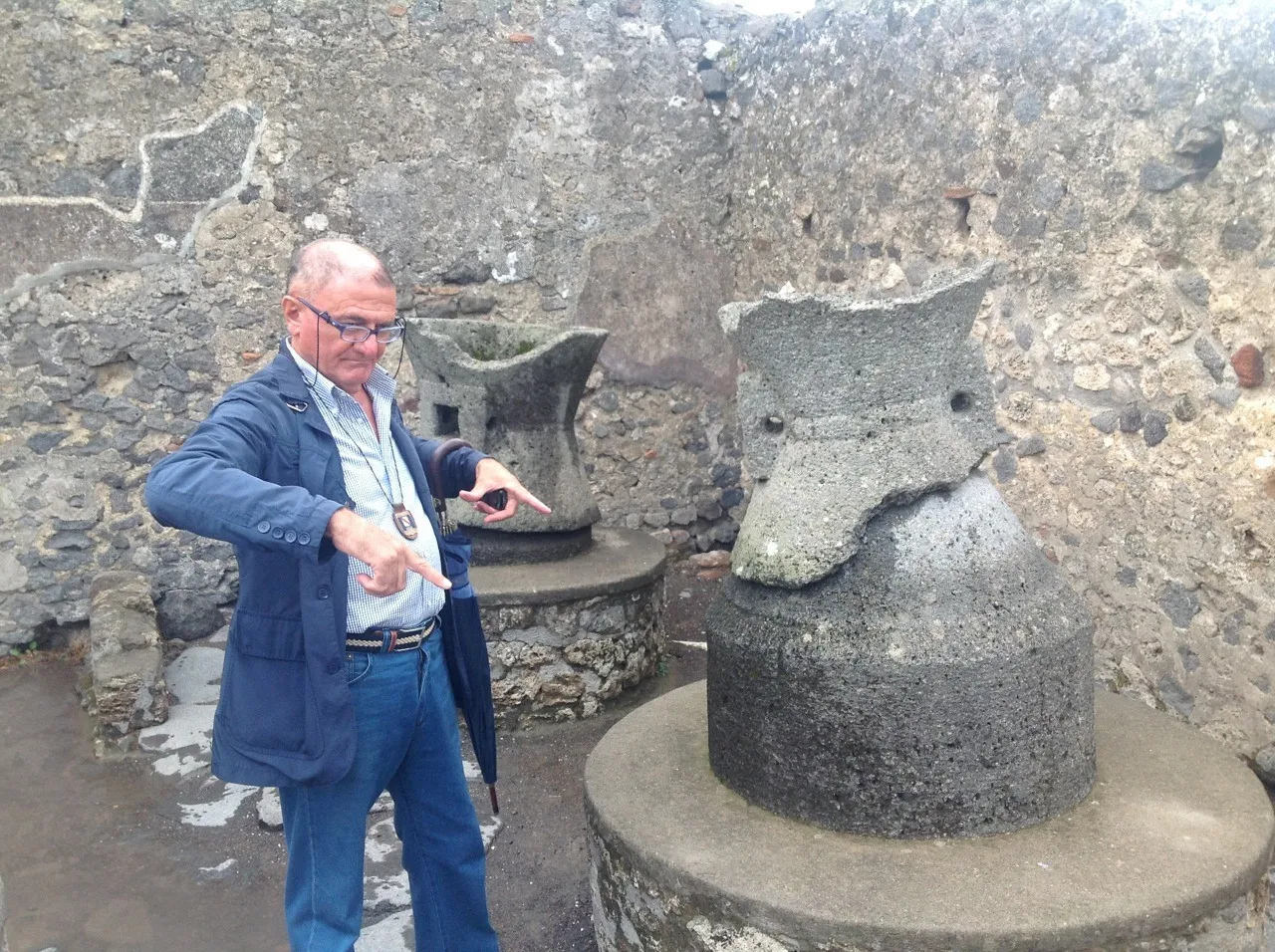 Pompeii or Herculaneum and Mt.Vesuvio-3