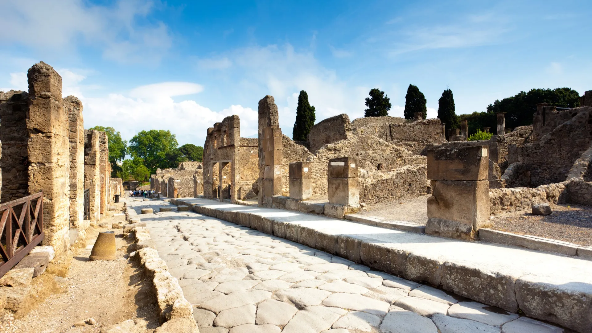 Half Day Tour Pompeii Ruins-8